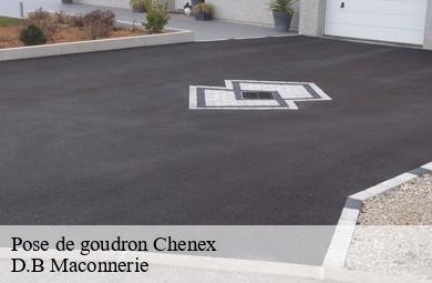 Pose de goudron chenex-74520 D.B Maconnerie
