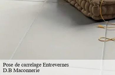 Pose de carrelage entrevernes-74410 D.B Maconnerie