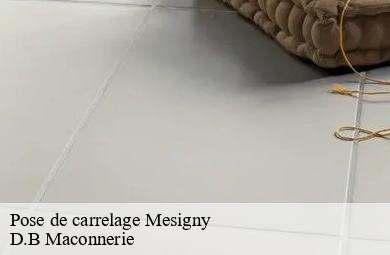 Pose de carrelage mesigny-74330 D.B Maconnerie